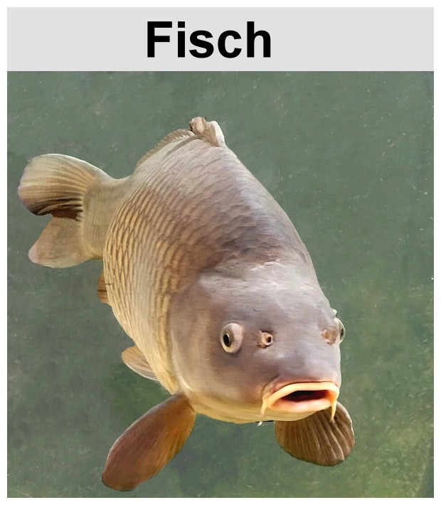 Fisch