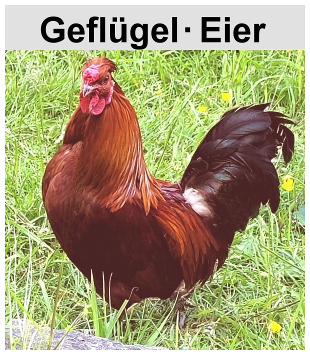 Geflügel & Eier