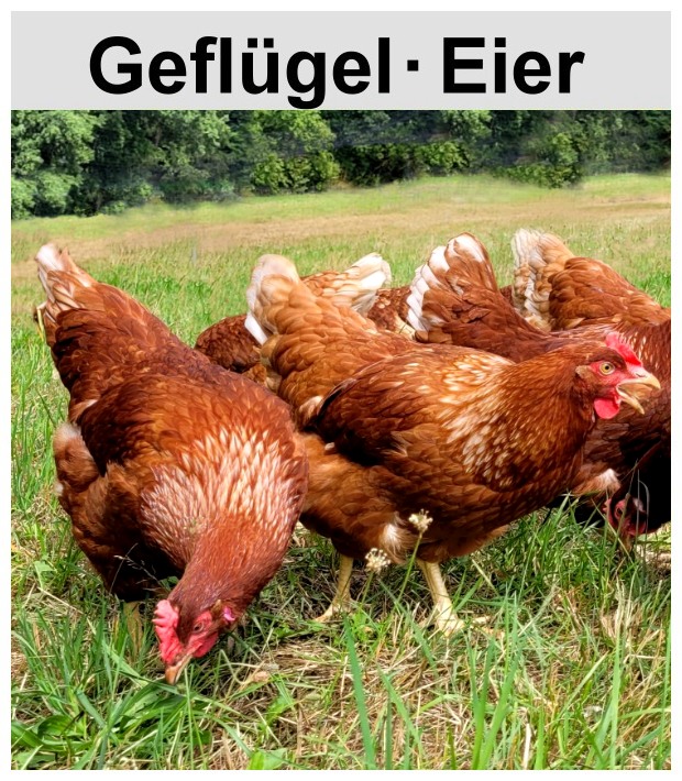 Geflügel und Eier aus der Oberpfalz