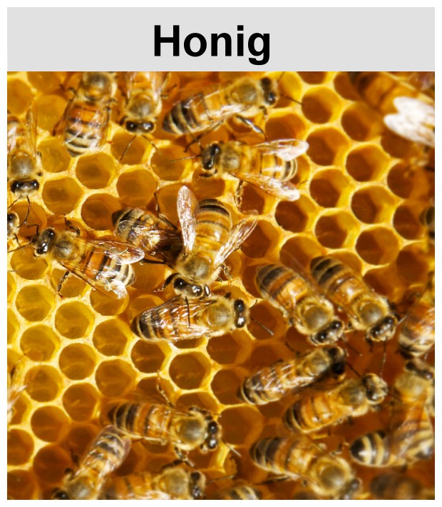 Honig von oberpfälzer Imkern