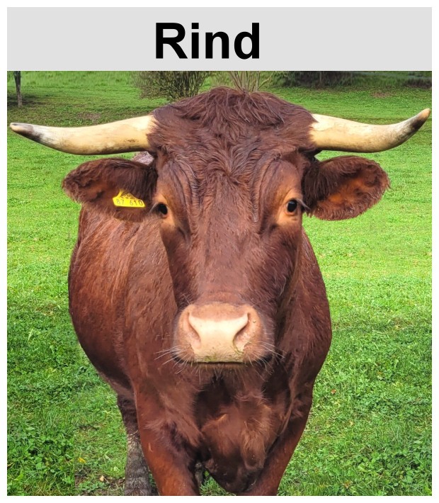 Rindfleisch Anbieter in der Oberpfalz